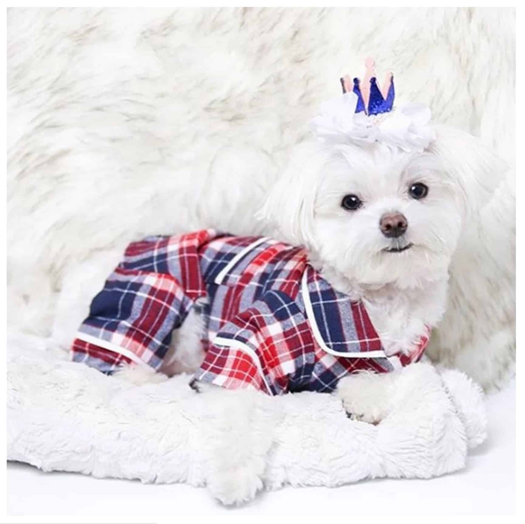 Blue Plaid Dog Pajamas image 0
