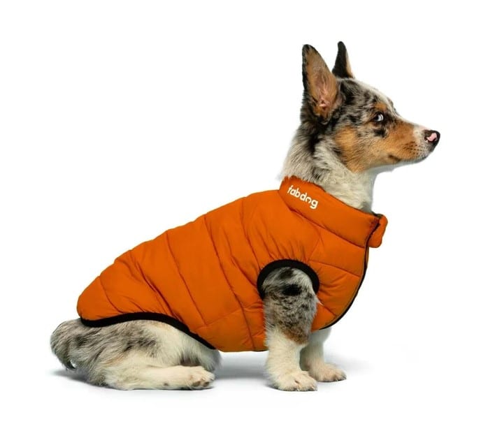 Olive & Orange Pack N' Go Reversible Dog Puffer image 2