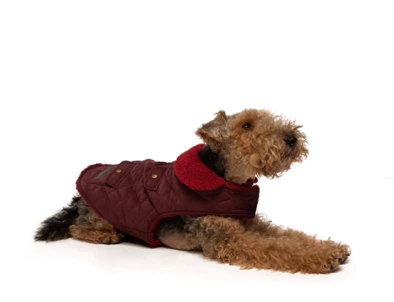Quilted Shearling Dog Coat Olive Green image 3