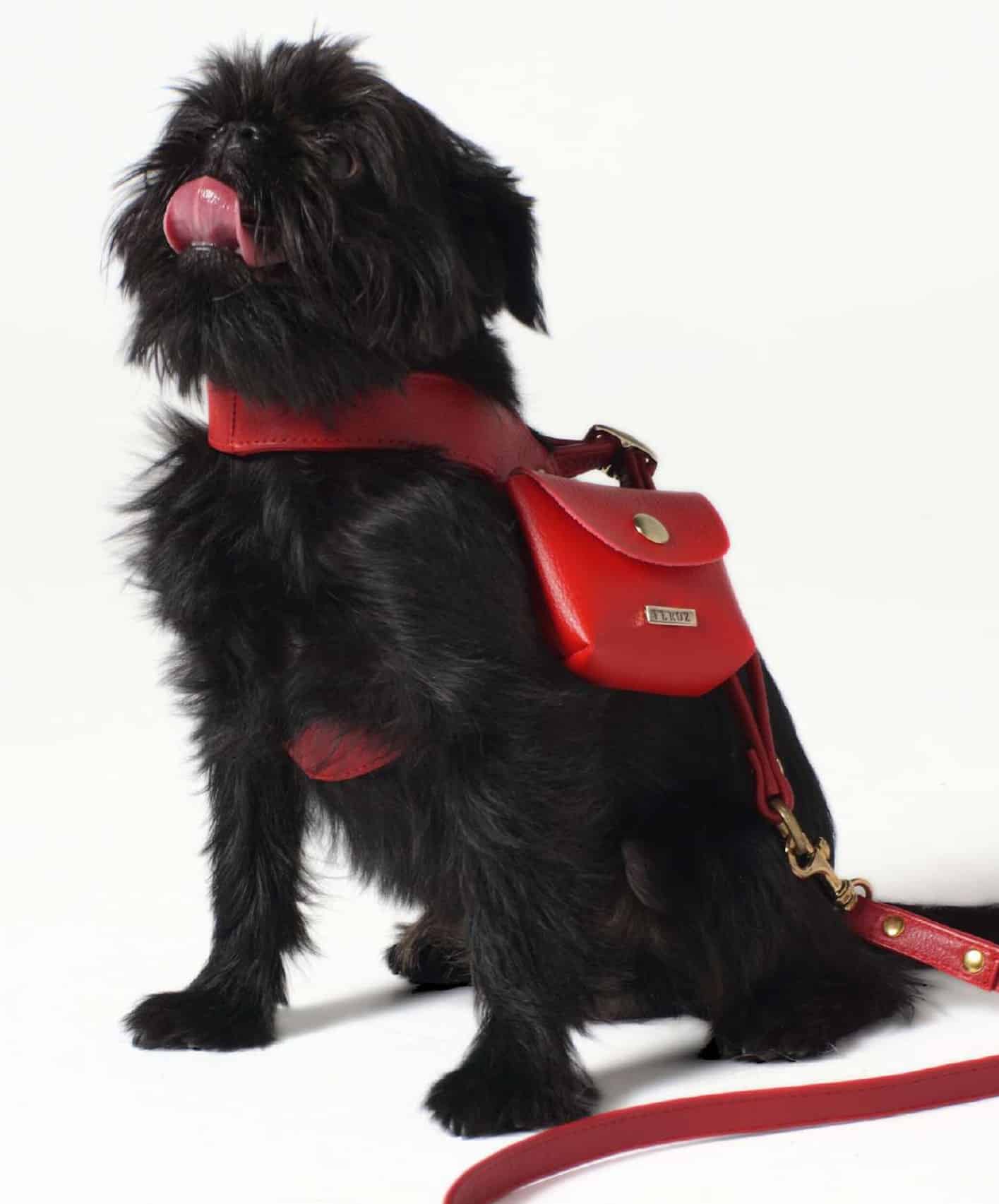 Feroz Doggie Bag Dispenser image 0