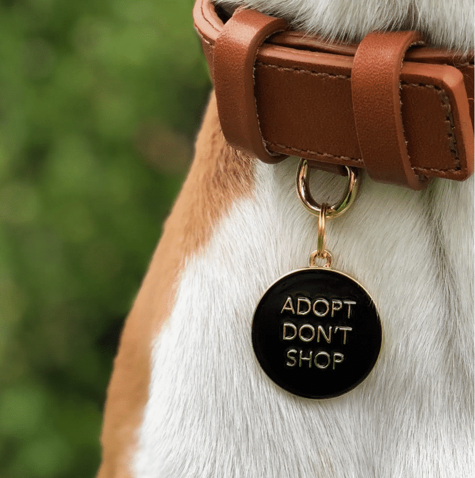 Adopt Don't Shop Dog Charm image 1