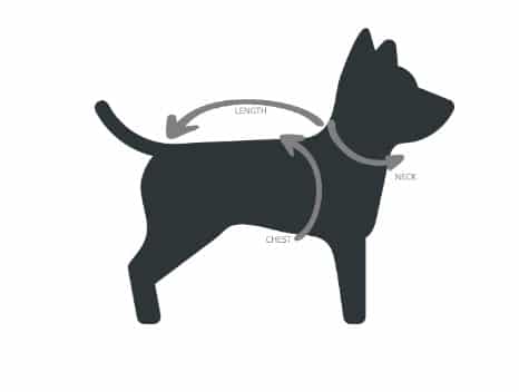 Olive & Orange Pack N' Go Reversible Dog Puffer image 3