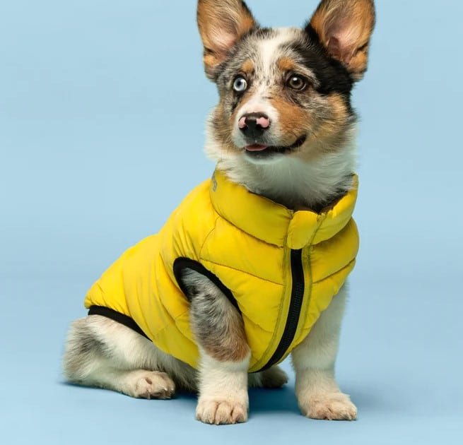 Yellow & Grey Pack N' Go Reversible Dog Puffer image 2
