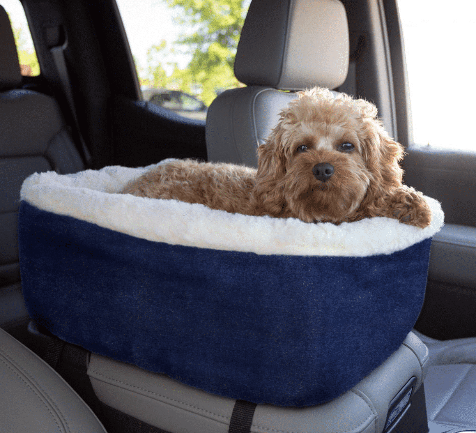 Snoozer Console Dog Car Seat - Denim - Small image 0