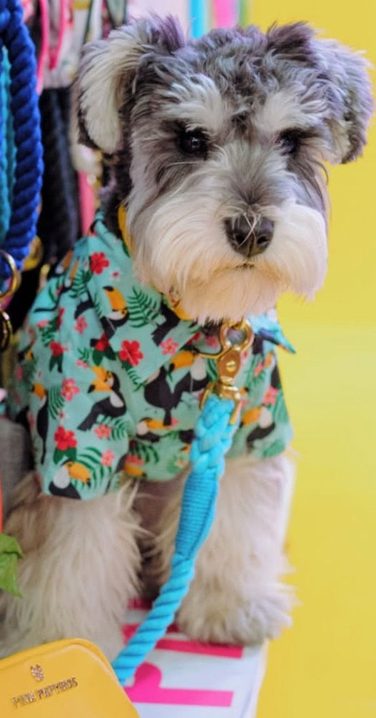 Ariel Rope Dog Leash image 0