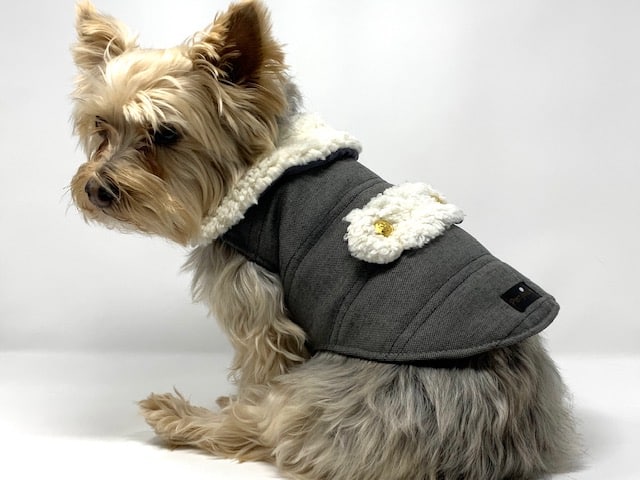 Alejandro Twill Dog Coat image 0