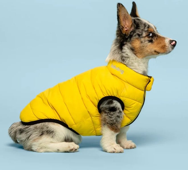 Yellow & Grey Pack N' Go Reversible Dog Puffer image 3