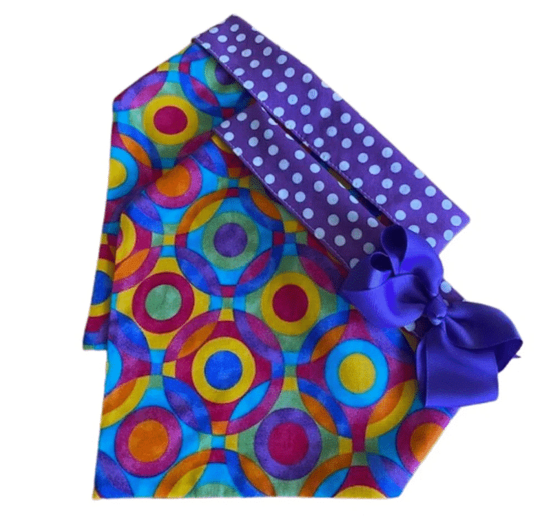 Circles Rainbow Dog Bandana with Bow image 0