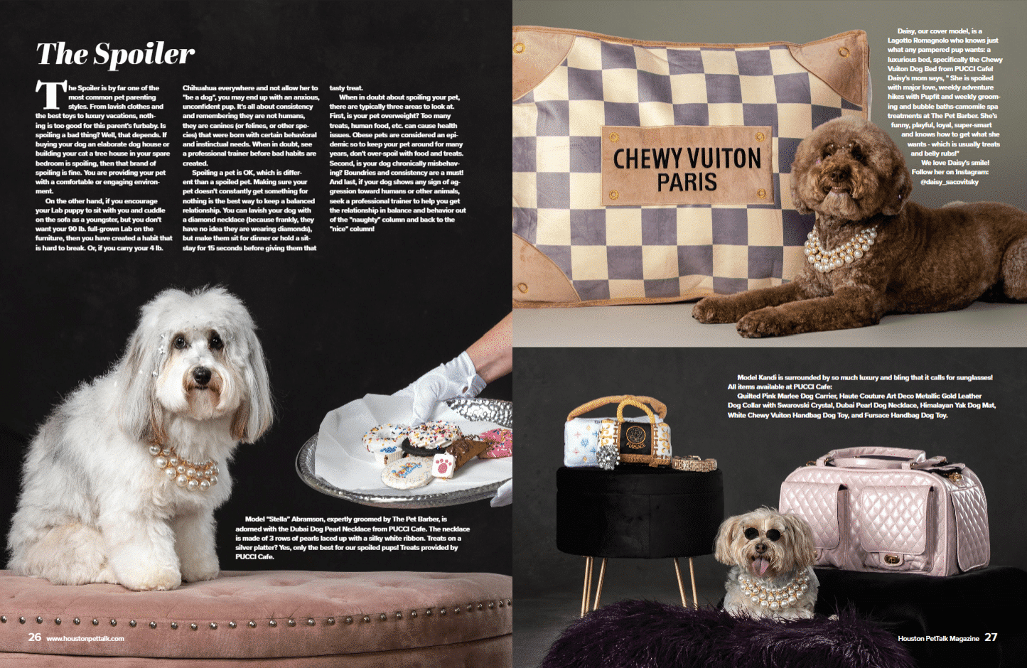 Checker Chewy Vuiton Dog Bed image 1