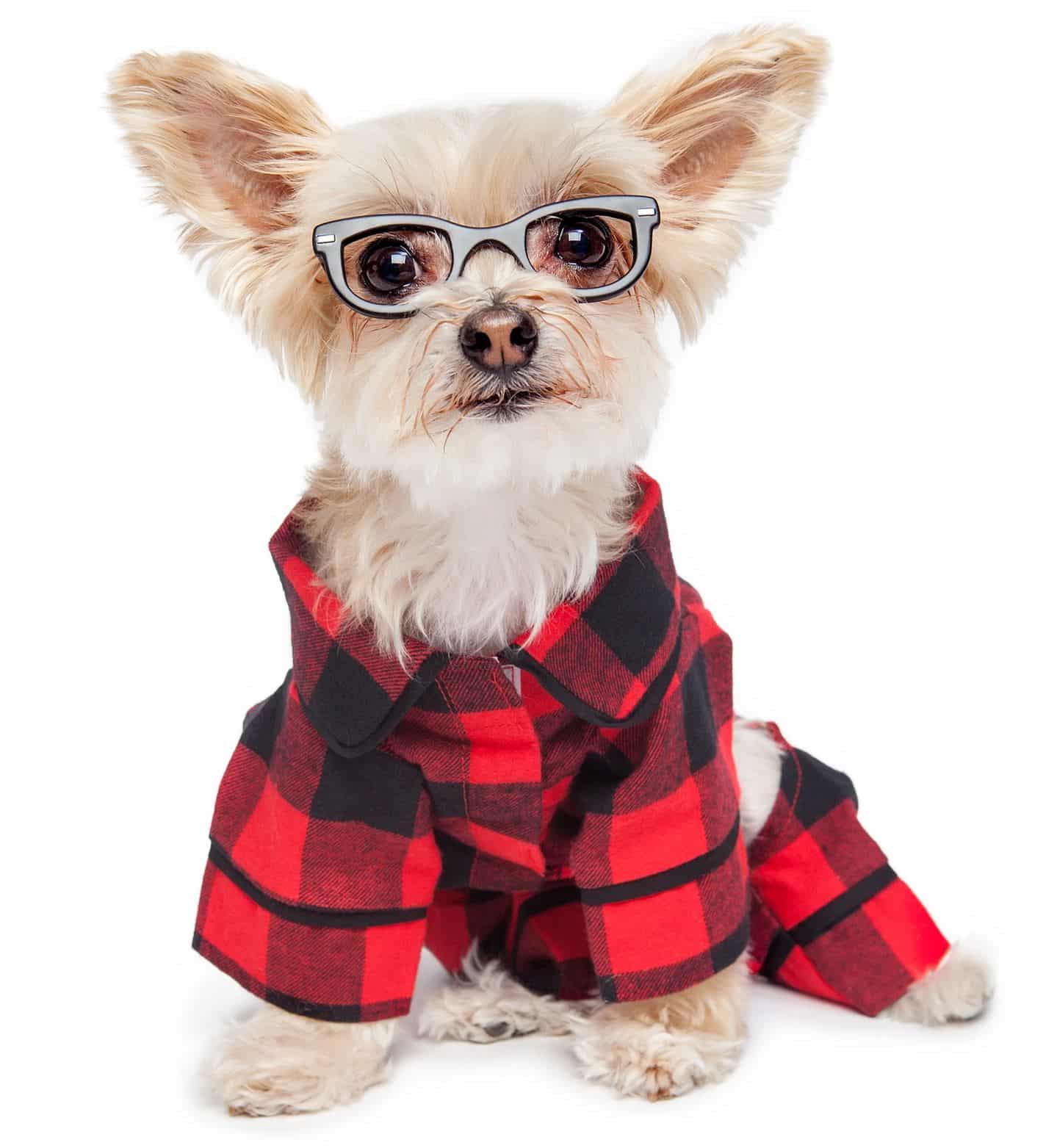 Buffalo Check Dog Pajamas image 0
