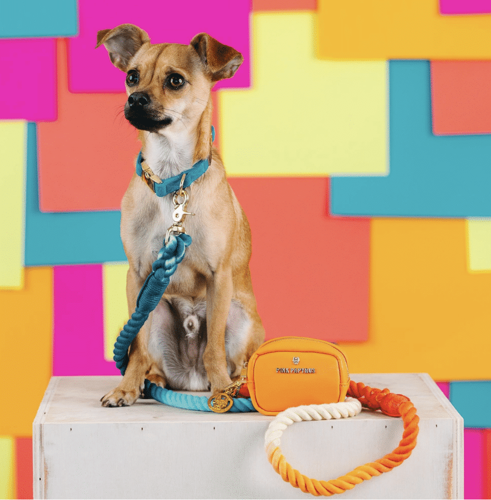 Beau Rope Dog Leash image 0