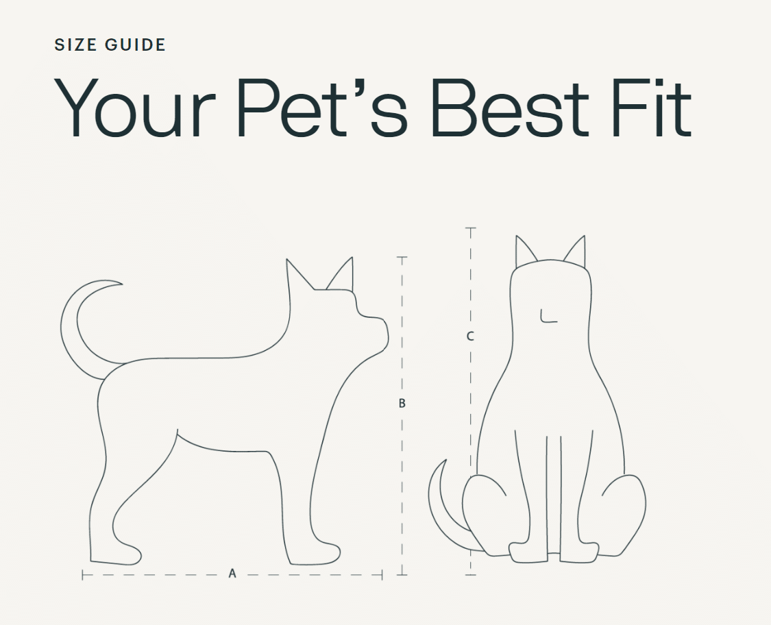 Tavo Pets Maeve Medium (Rigid Handle) Pet Stroller image 2